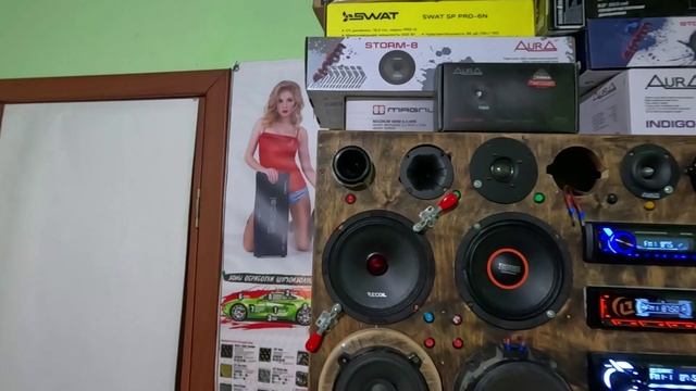 Recoil Red Storm RM65-4P Среднечастотный эстрадный динамик смотреть онлайн