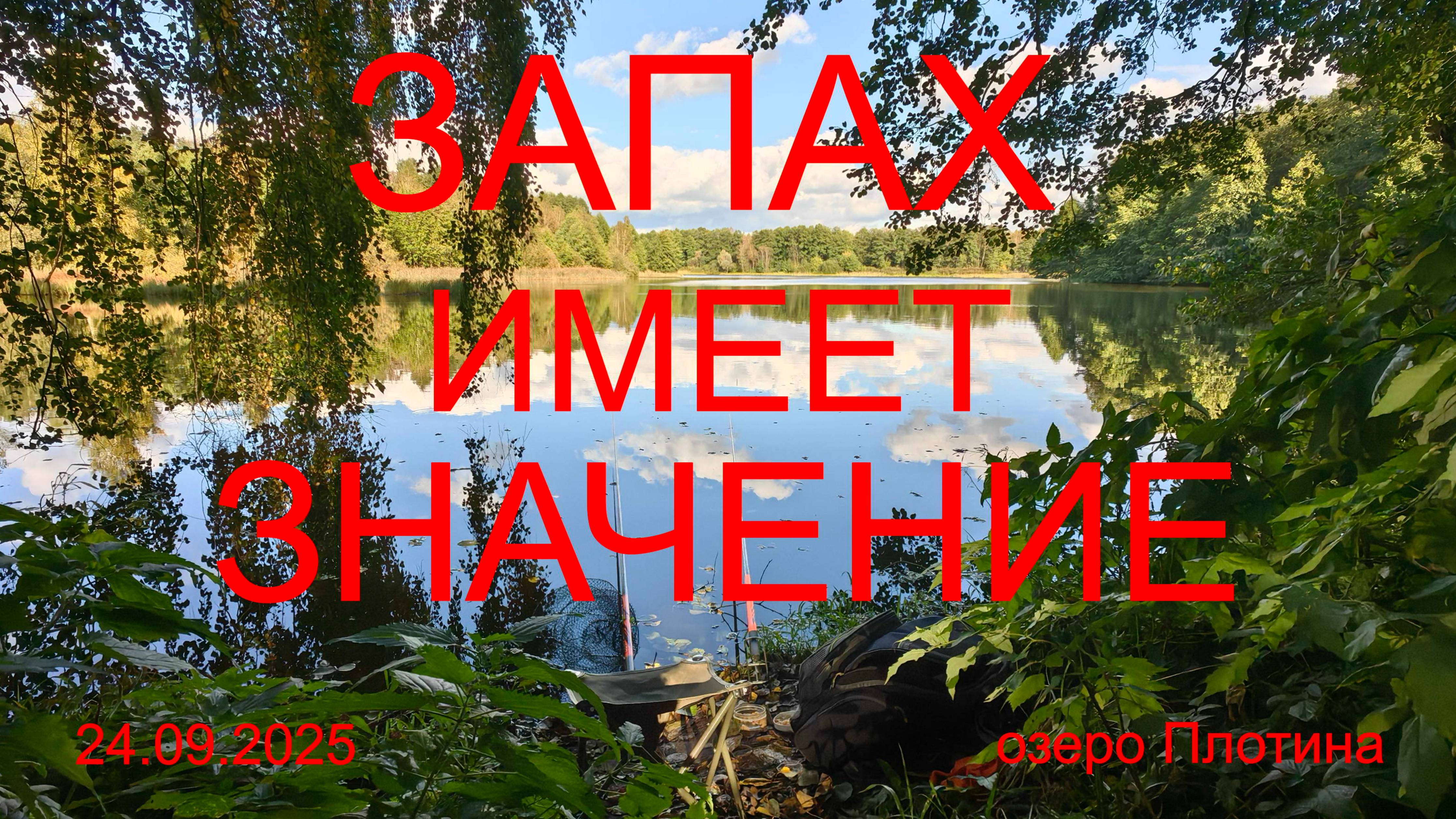 Запах имеет значение. 24.09.2025. Отрывок с сегодняшней рыбалки. оз. Плотина. Рыбалка в Подмосковье