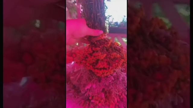 Кукла Берегиня из трав смотреть онлайн