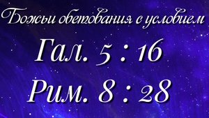 Божьи обетования ( 3 )