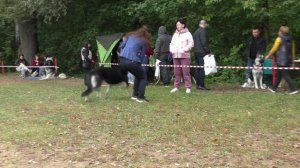 БВЛ Нирвана