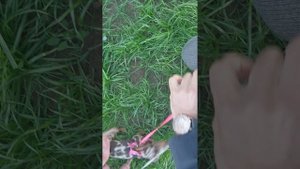 1000014958.mp4