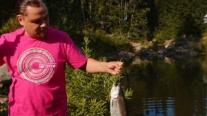 Рекламный фильм для фестиваля ВОТ ЭТНО