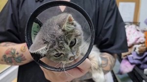 Выброшенный, как мусор... Обретенный, как сокровище! | Кико