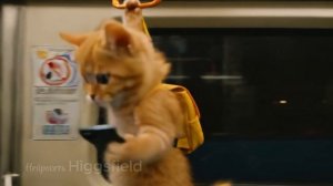 Лаборатория "Твоя Марсель" Котенок в вагоне метро