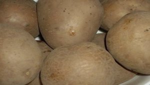 Картофель с брынзой