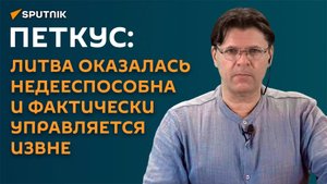 Петкус: Литва оказалась недееспособна и фактически управляется извне
