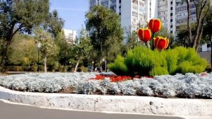 Не много осеннего Оренбурга.