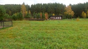 База отдыха  Блэк пайн, Красноярский край 2025г.