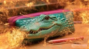 Новый брэйнрот Пеналино крокодило