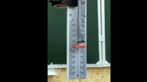 Проверка закона сохранения энергии при движении тела под действием силы тяжести