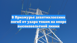 В Приамурье девятиклассник погиб от удара током на опоре высоковольтной линии