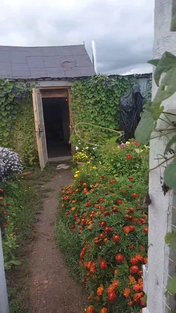 Мой милый дворик смотреть онлайн