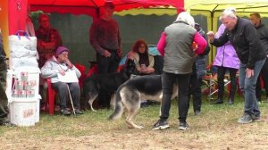 СВ Пионерский Привет Егор