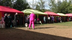 СД Хорунжий