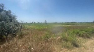 В России заработал закон о неиспользуемых земельных участках