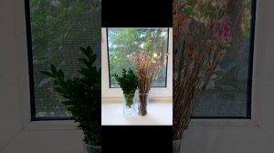 Красота и нежность