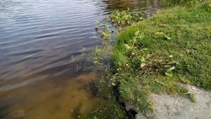 🌼🏵️🌼🏵️🌞ВЕСНА ПРИШЛА ПРЕКРАСНАЯ!.🌞🏵️🌼🏵️🌼ПОДПИШИСЬ!.🌼💖🏵️🤗🤙