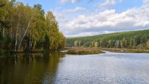 Осенний бит