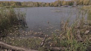 Рыбалка не удалась ((( два карася не клевало не где