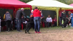 ВР Берн Тедди Беар