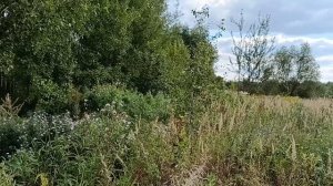 Исаково, ул. Центральная