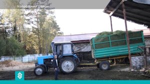 Льготные кредиты, субсидии и гранты могут получить крестьянско-фермерские хозяйства