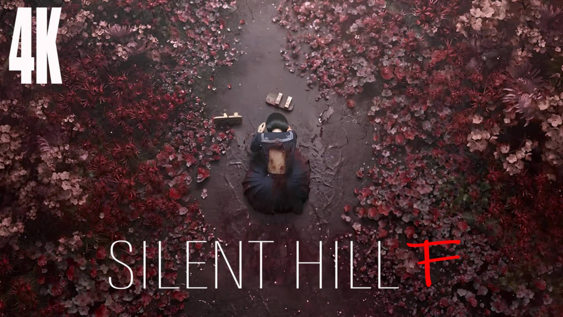 SILENT HILL F: ПИРАТКА