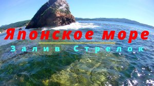 Подводный мир Японского моря. Прибрежье.