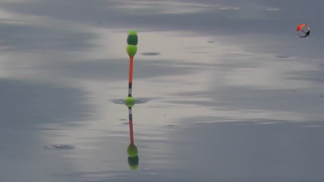 Некрасовка, Чёрное (БЕДРИНСКОЕ) озеро, ЛОВЛЯ КАРАСЯ на Поплавок. Рыбалка. Fishing смотреть онлайн