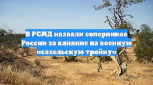В РСМД назвали соперников России за влияние на военную «сахельскую тройку»