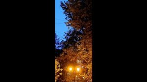 когда приходит  вечер..