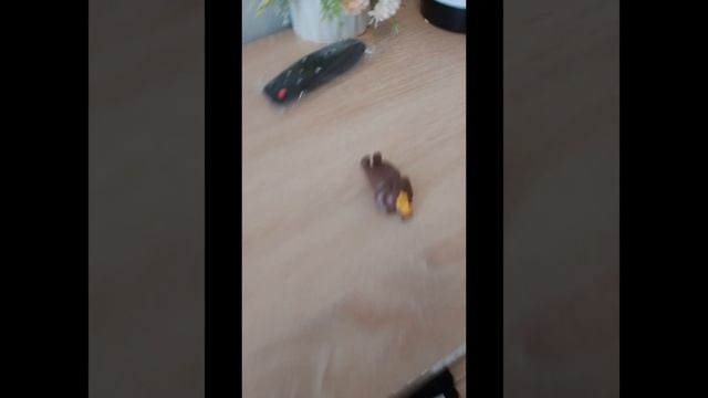 Маша и медведь весна пришла серия 883 смотреть онлайн