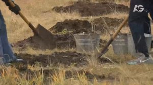 GLOBAL МЭДЭЭ / 2025.09.24