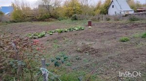 Влог Работаю в огороде/Алтайский край