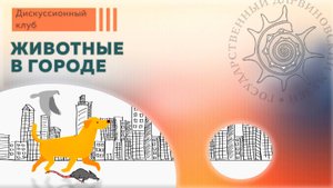 Животные в городе