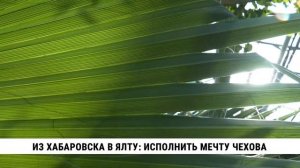 Из Хабаровска в Ялту: исполнить мечту Чехова