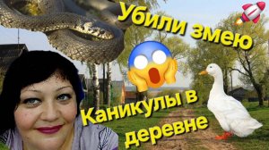 Каникулы в деревне🌳🏡убили 🐍змею,🍄нашли грибочки🤩.mp4