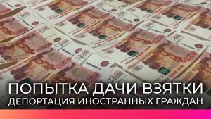 В Новгородской области задержали жителей Москвы при попытке дать взятку сотруднику ФСБ