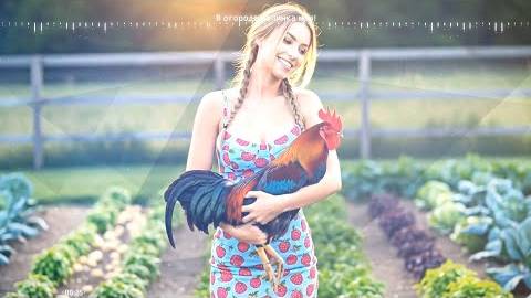 В огороде малинка моя!-Музыка- Аранжировка DJ Semyonich.