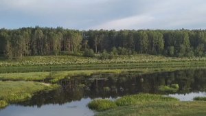 красота то какая! лепота, на рыбалках бывают очень красивые места.mp4