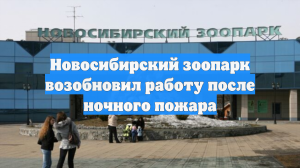 Новосибирский зоопарк возобновил работу после ночного пожара