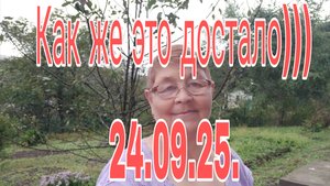 24.09.25.  КАК ЖЕ ЭТО ДОСТАЛО )))  ОБО ВСЕМ СРАЗУ )))