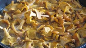 Маринованные лисички с яблочным уксусом