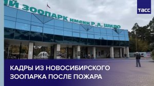 Кадры из Новосибирского зоопарка после пожара