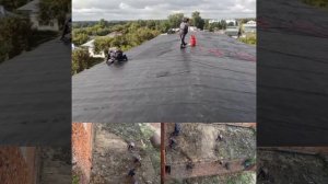 А у вас на рабочем месте поют птички?