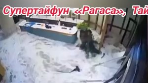 Супертайфун «Рагаса", Тайвань
