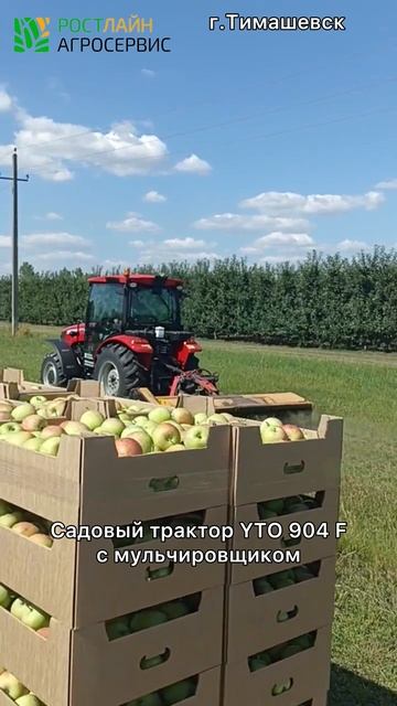 Трактор YTO 904f - садовый необходимка! смотреть онлайн