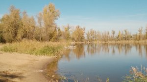 Озеро посёлка НПС Дружба в с.п.Лопатино ( Волжский район Самарской области)