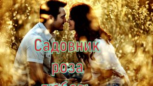 Мужчина садовник, женщина роза